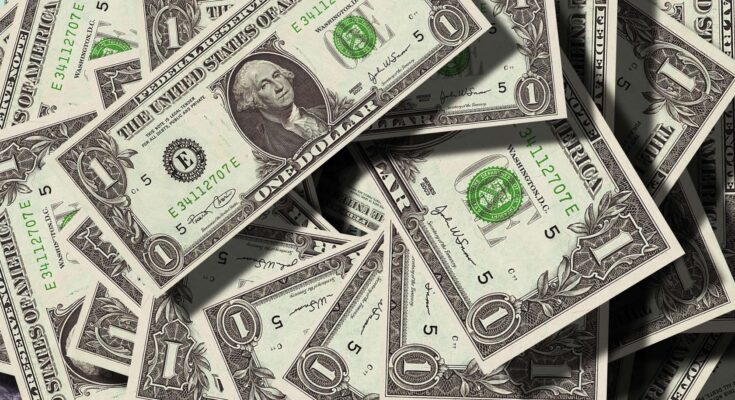 US Dollar Hedge